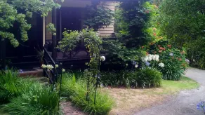 ROSA EM CASAS DE CAMPO DE LEAFIELD - Image 4