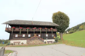 Characterful old farmhouse with 4 apartments in Fresach Carinthia with garden - Image 4