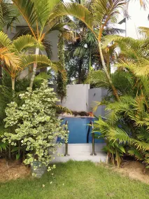 Priima - Image 5
