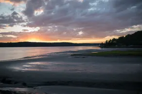 Your own private island!  Rustic and close to Nature. - Image 5