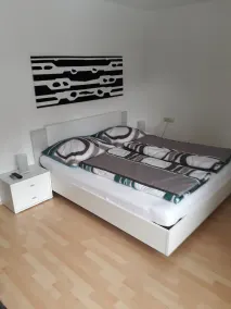 Apartments in the middle of dream ski resorts - Image 3