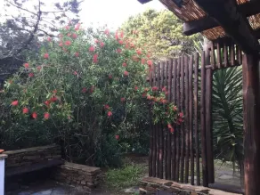 Rilassante casa con giardino in Stintino - Image 3