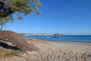 L'orangeraie : Calvi centre à 300m de la plage  et du port, parking privé - Image 5