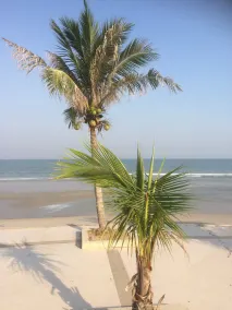 olheiro tailandês oferece casas de férias a preços acessíveis - Image 4