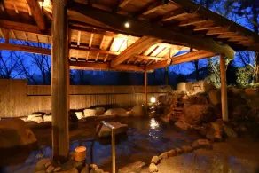 Yunogo Onsen HOTEL YUNOMORI BISYUNKAKU - Image 4