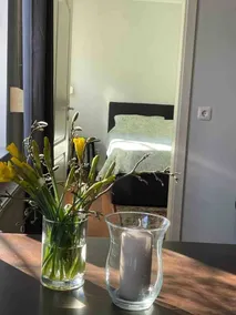 Zwei Zimmer Appartement Elbtalaue - Image 5