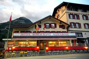 Alpenrose - Image 5