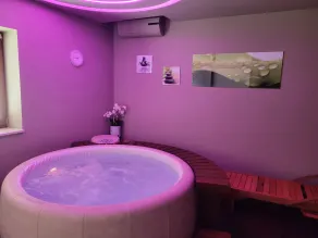 HEATED OUTDOOR POOL + Spa Whirlpool + Sauna: Stone villa with private pool - Image 4