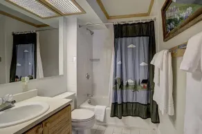 Ski in/Ski Out 100 yards, Masive Views, On Shuttle Route, Hot Tub, Fireplace - Image 4