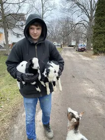 Goat Crazy Homestead  - Image 2