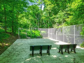 Lakes, Waterfall, Basketball Court: Family Getaway 5-7 bedrooms - Image 5