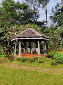 Thippanahalli Homestay, Chikkamagalur - Image 3