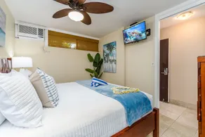 Amazing 1 Bd/1Ba Kuleana 613 Ocean front spectacular views - Image 4