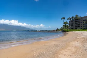 Koa Lagoon - 4 BR, Beachfront, 2 Units - Image 4