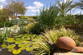 Garden by the sea II - Image 4