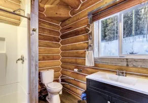Log Cabin with Amazing Mountain & Lake Views  (allergy-friendly) - Image 2