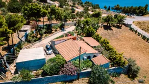 A multisensory experience awaits you in the Greek countryside - Image 2