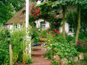 Single Room 1 - Gästehaus Andresen-Warft - Image 4