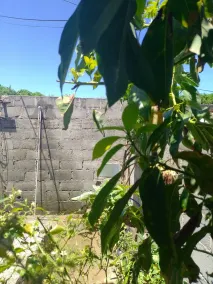 Petite maison rustique - Image 3