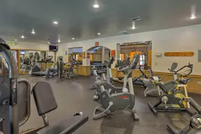 Gold Bend 5111 - Stylish Dog Friendly Condo on Shuttle Route with HOA Gym and Hot Tub Access - Image 4