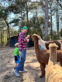 Alpaca Bag n Stay Cottage  - Image 3