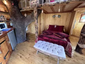 - AMOUR Cabin - Cabin for 2 to 4 guests + private hot tub + seasonal pool - Image 5