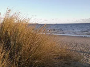 Gardensuite Binz - Image 4