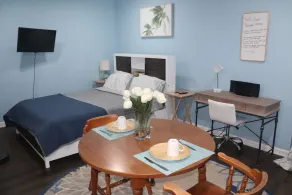 Lower Level Loft - Adorable Studio Apt. Near BWI - Image 5