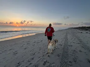 211 Turtle | King Bed | Beach Gear | 1 Block to Beach & Downtown | Dog Friendly - Image 2