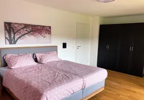 Very nice, newly renovated vacation home near Kochel am See for up to 10 people - Image 5