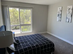 Lovely two bedroom with pool - Image 4