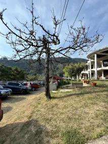 Hotel Mercy - Image 5