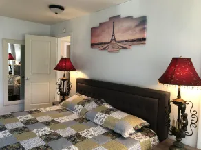 Cozy French Pied a terre - King bed, washer/dryer - Image 4