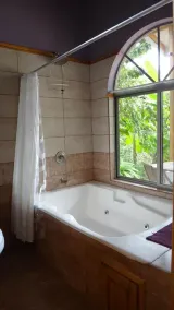 Custom Eco Home, Private, Pool, Canopy View. From $229 per night - Image 2