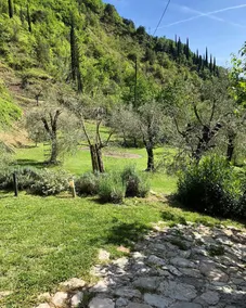 Casa Lume - Image 4