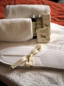 Santa Giulia Hotel e Residence Torino - Image 3