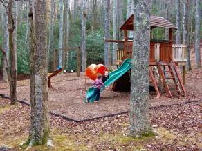 Fern Hill: Breathtaking Mountain Views and Outstanding Amenities - Image 2