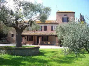 The Mulberry in Solebello - Image 3