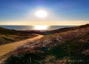 Luxury Villa near Noordzee - Image 2