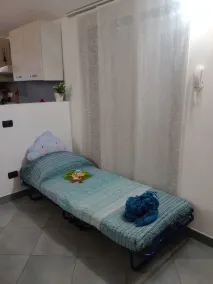 Peter's nest - Image 3