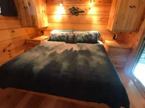 The Treehouse TN Honeymoon Cabin HOT TUB - in BSF! - Image 4