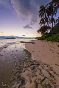 Honu Cottage:  Quiet, Oceanfront Comfort +  EPIC VIEWS! - Image 4