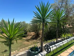 Your Private Paradise in the Adalucian Hills - Image 4