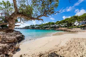 Dream Mallorca Dorada - Image 5