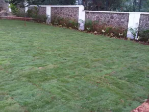 The Villa With Pool, Disco, Lawns - Image 5