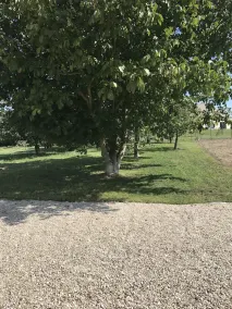 Maison neuve en champagne - Image 3