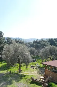 Rida Sultan Konağı - Image 5