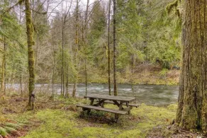 Thompson Cabin - Charming Salmon Riverfront A-Frame Oasis w/ fireplace - Image 5