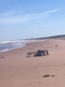 Playa, golf, relajarse y disfrutar de nuestra hermosa cabaña Stanhope, PEI para sus vacaciones - Image 4