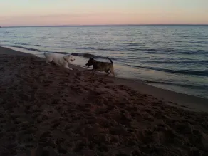 Madeline Island sommerhus i trin på sandede kystlinje! - Image 2